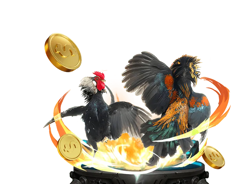 Chương trình VIP độc quyền ku casino link